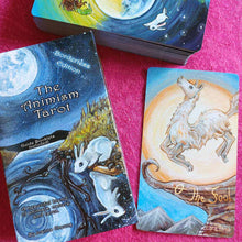 Load image into Gallery viewer, The Animism Tarot: BORDERLESS Edition, deck, box, and the Fool tarot card
