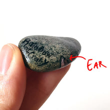 Load image into Gallery viewer, the back of the orange tabby cat stone, signed with, Rainbow of Crazy