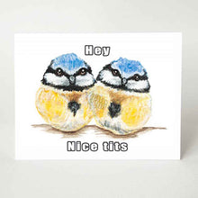 Load image into Gallery viewer, a funny greeting card with two baby blue tit birds, and the words, &quot;hey. nice tits&quot;
