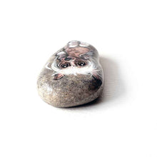 Load image into Gallery viewer, a small beach stone, hand painted with the portrait of a chinese crested dog
