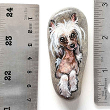 Load image into Gallery viewer, a small beach stone, hand painted with the portrait of a chinese crested dog
