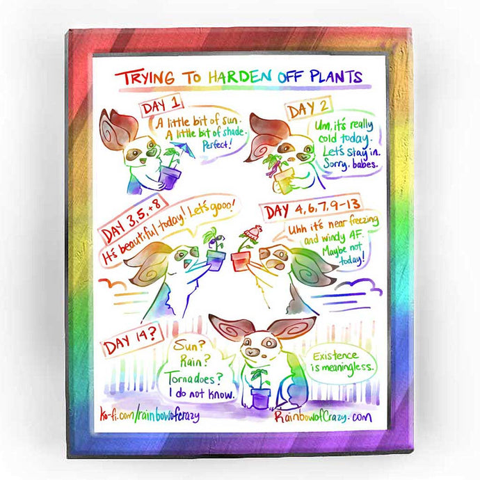- Rainbowofcrazy web comic. Trying to harden plants. /Day 1. Rabbit, holding a small tomato plant in a pot. the pot has a little umbrella. 