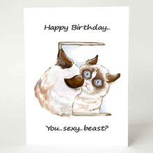 Load image into Gallery viewer, a greeting card featuring an illustration of a very grumpy brown and white cat with blue eyes, looking at its reflection in the mirror. Text reads, &quot;Happy Birthday.. You.. sexy.. beast?&quot;
