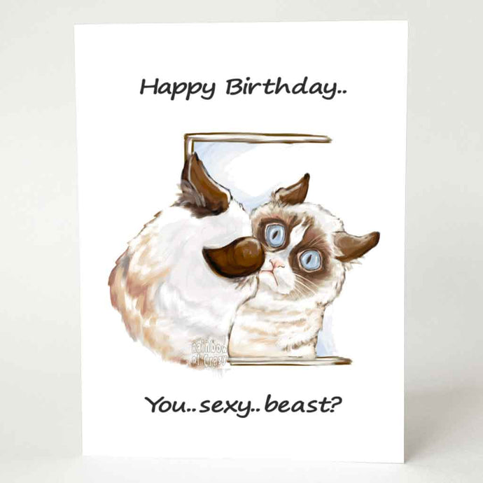 a greeting card featuring an illustration of a very grumpy brown and white cat with blue eyes, looking at its reflection in the mirror. Text reads, 