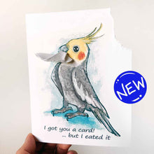 Load image into Gallery viewer, a greeting card with art of a gray and yellow cockatiel. The card reads, &quot;I got you a card! ... but I eated it&quot;. be the top right corner of the card is ripped and hangs from the bird&#39;s mouth
