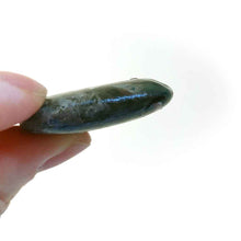 Load image into Gallery viewer, a hand holding a smooth, flat, beach stone hand painted with a hippo, showing how flat the stone is from the side
