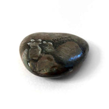 Load image into Gallery viewer, a smooth, flat, beach stone hand painted with a smiling hippo, underside painted with its feet and signed with, rainbowofcrazy
