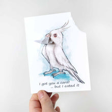 Load image into Gallery viewer, a greeting card with art of a white albino cockatiel. The card reads, &quot;I got you a card! ... but I eated it&quot;. be the top right corner of the card is ripped and hangs from the bird&#39;s mouth
