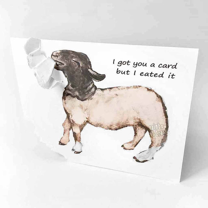 a funny greeting card with a black and white sheep on the front, with the bottom left corner of the card ripped and hanging from its mouth. the card reads, 