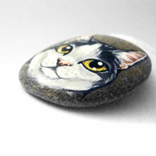 Load image into Gallery viewer, a smooth beach stone, painted with a close-up portrait of a black and white manx cat with yellow eyes and pink ears.
