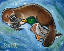 Load image into Gallery viewer, an art print featuring an illustration of a platypus and a mallard duck, swimming together, touching bills
