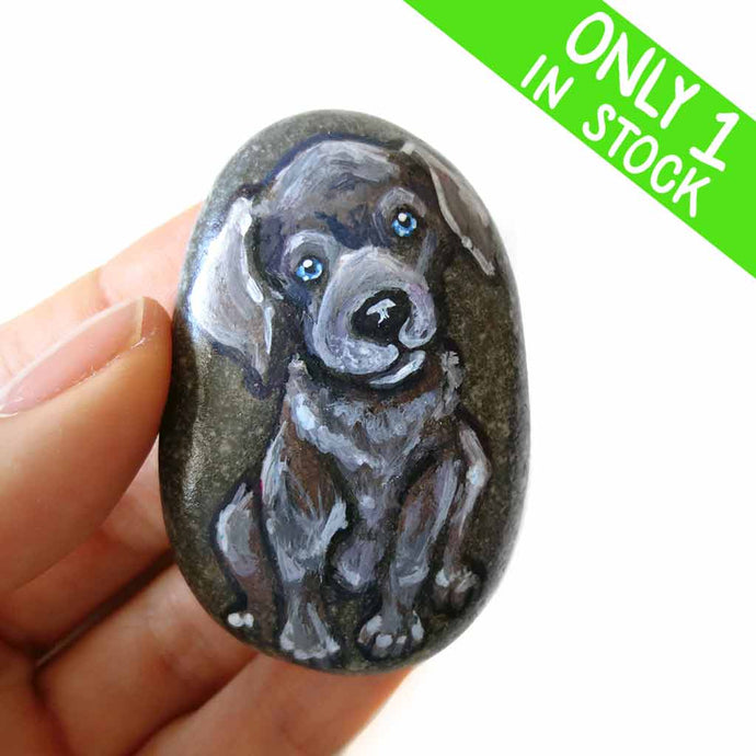 a small beach stone hand painted with the portrait of a silver labrador retriever puppy with blue eyes.