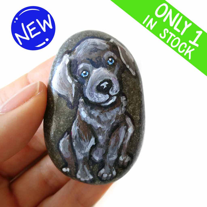 a small beach stone hand painted with the portrait of a silver labrador retriever puppy with blue eyes.