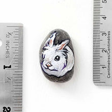 Load image into Gallery viewer, a small beach stone, hand painted with a portrait of a white lionhead rabbit. available as a keepsake or pendant necklace
