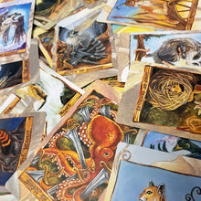 Load image into Gallery viewer, The Animism Tarot deck includes 79 full colour tarot cards with an animal theme.
