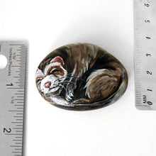 Load image into Gallery viewer, A beach stone, hand painted with the portrait of a brown ferret sleeping, next to two rulers to show its size, 2 1/4&quot; x 1 9/16&quot; x 9/16&quot; or 5.7 cm x 3.9 cm x 1.5 cm
