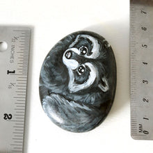 Load image into Gallery viewer, raccoon art, hand painted on a beach stone, next to two rulers to show its size: Measures approximately 2 3/16&quot; x 1 11/16&quot; x 1/2&quot; /// 5.5 cm x 4.3 cm x 1.3 cm
