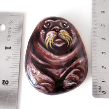 Load image into Gallery viewer, wade the walrus, a hand painted rock art, next to two rulers to show its size: 2 3/16&quot; x 1 3/4&quot; x 9/16&quot; or 5.6 cm x 4.5 cm x 1.5 cm

