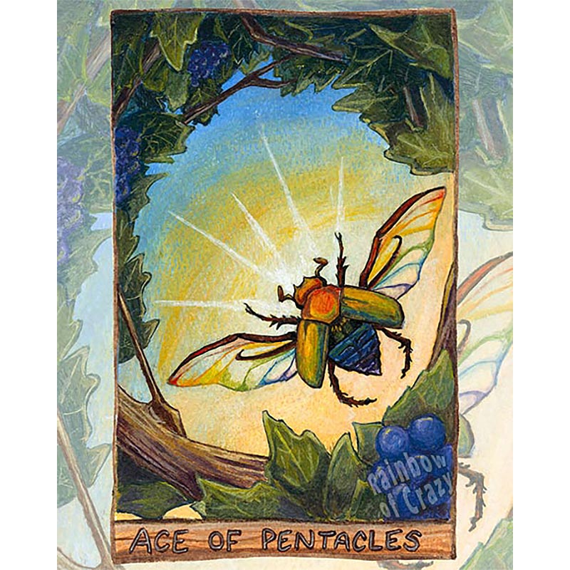 Ace of Pentacles / Beetle Art Print / Animism Tarot