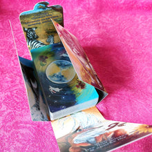 Load image into Gallery viewer, The Animism Tarot BORDERLESS Edition: hook box is partially opened with the deck inside
