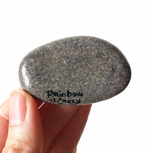 Load image into Gallery viewer, the back of a bernese mountain dog painted stone, signed with, rainbow of crazy
