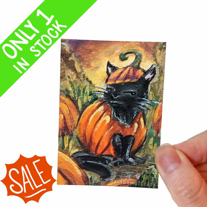 an aceo print featuring art of a black cat wearing a pumpkin costum, sitting in a pumpkin field