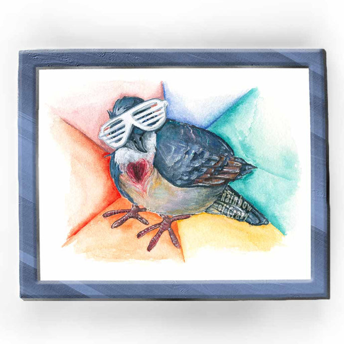 art print of a bleeding heart dove, wearing white shutter shades, against a rainbow background