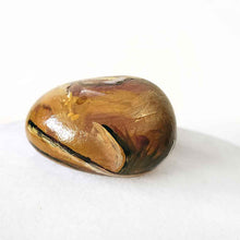 Load image into Gallery viewer, a small beach stone hand painted with a boxer dog
