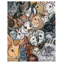 Load image into Gallery viewer, and art print featuring an illustrated collage of several different rabbit breeds, along with their names
