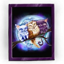 Load image into Gallery viewer, an art print featuring an illustration of a white cat, barn owl, and black cat, all sleeping in a row, perched on a tree branch. the full moon shines behind them.
