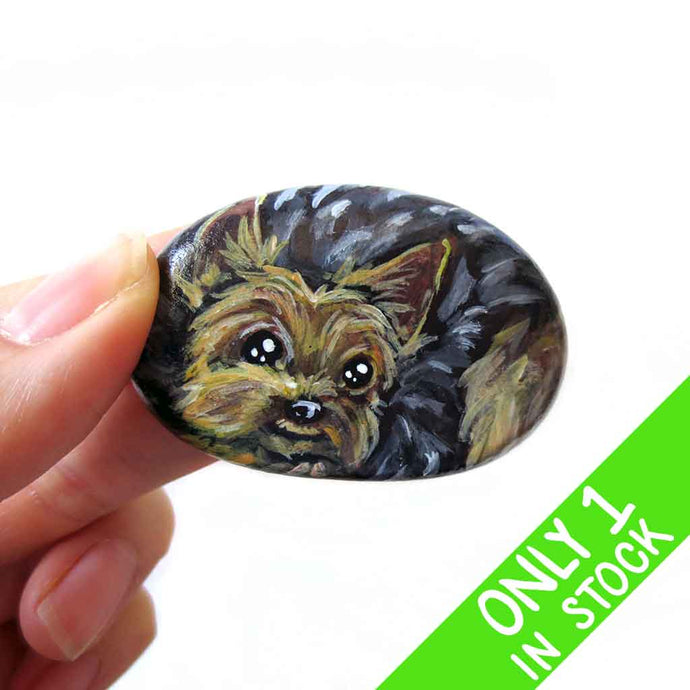a small beach stone, hand painted with the portrait of a Yorkshire terrier dog, its paws painted on the underside
