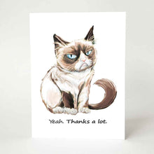 Load image into Gallery viewer, a greeting card featuring an illustration of a very grumpy brown and white cat with blue eyes. underneath the cat is the text, &quot;Yeah. Thanks a lot.&quot;
