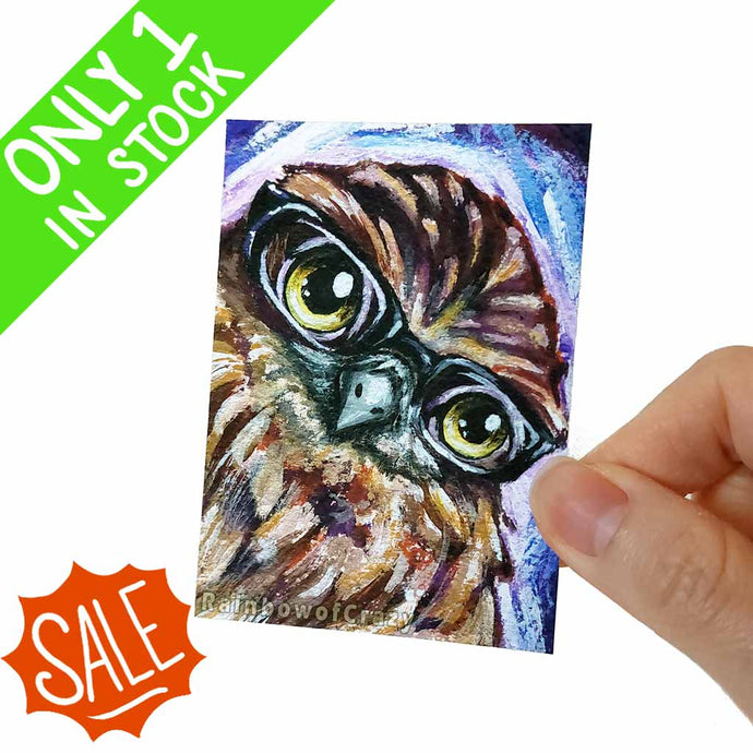 an aceo sized art print featuring the portrait of a boobook owl, wearing thick rimmed black eyeglasses 