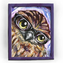 Load image into Gallery viewer, an illustration of a boobook owl, wearing black eyeglasses
