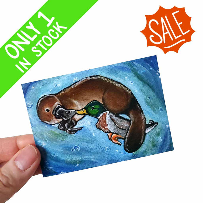 an aceo featuring art of a platypus and Mallard duck swimming close to each other, booping noses 