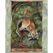 Load image into Gallery viewer, This art print features the Two of Pentacles card from the Animism Tarot: a kangaroo rests on the forest floor, as her baby bounces on top of her in joy. Two kangaroo paw flowers grow nearby. 
