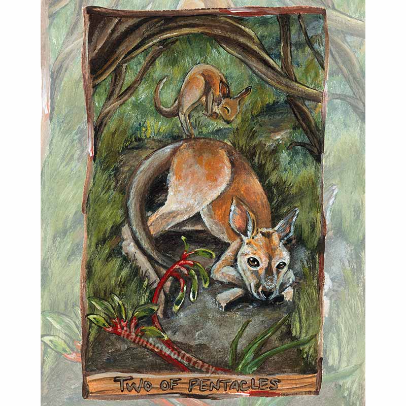 This art print features the Two of Pentacles card from the Animism Tarot: a kangaroo rests on the forest floor, as her baby bounces on top of her in joy. Two kangaroo paw flowers grow nearby. 