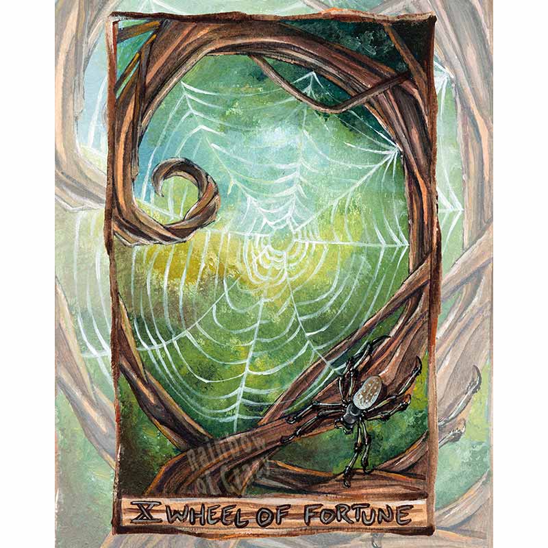 This art print features the Wheel of Fortune tarot card from the Animism Tarot: a beautiful spider web sits in the curved branches of a tree. An orb weaver spider rests at the bottom of the web.