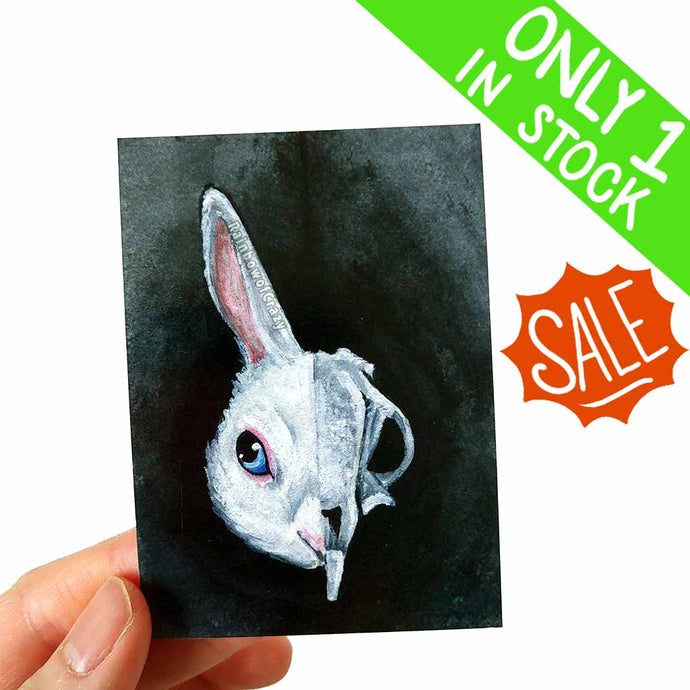 an aceo featuring a split image: a blue eyed white rabbit on the left side and a rabbit skull on the right